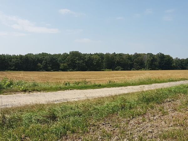 Fotografie nemovitosti - Zemědělská půda, Stará Ves nad Ondřejnicí