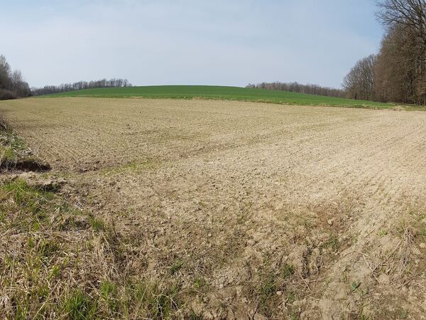 Fotografie nemovitosti - Zemědělský pozemek, louka a les, Stará Ves nad Ondřejnicí