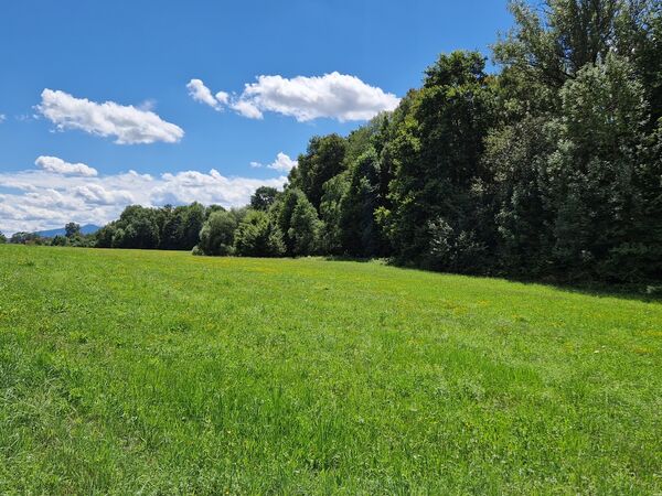Fotografie nemovitosti - Prodej zemědělské půdy