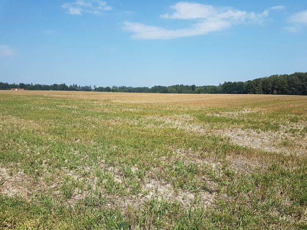 Fotografie nemovitosti - Zemědělský pozemek, Stará Ves nad Ondřejnicí
