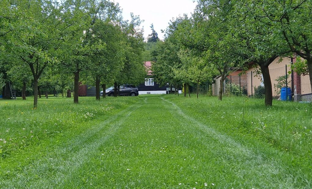 Rodinný dům se zahradou a sadem