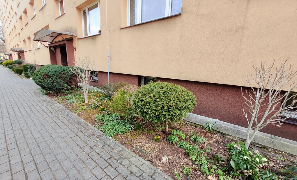 Byt 1+1, po rekonstrukci, Místek